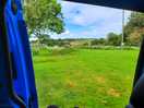 View from the van - sheep field