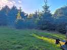 Nether hall farm campsite