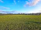 Lovely fields to play