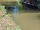 Canal nearby 5 min walk