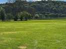 The view from our pitch