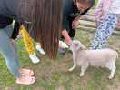 Feeding