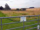 Dog field