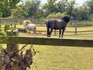 Friendly neighbours