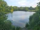 Niece lake