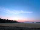 Dawn chorus all around