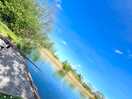 Fishing lakes, perfectly kept & full of wildlife