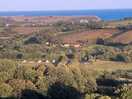 Local view