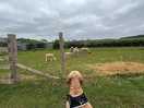 Farm animals on your doorstep.