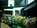 Das restaurant und die bar aussen-alles voller schöner blumen