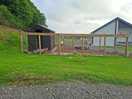 Chicken pen