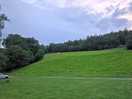 Field with different animals over our stay including horses, ducks and goats