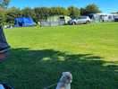 Field near the reception by the children play area