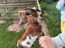 Feeding