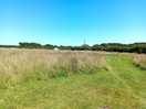 Beautiful camping pitches in nature