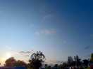 Evening sky