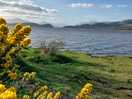 Loch lomond