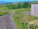 Excellent walking areas
