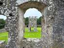 Nearby lamphey bishops palace - 2 mule walk round trip with a cream tea at the court hotel and spa
