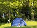 Here is my dog next to our tent. as you can see the site is very clean and well kept.