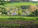 Local views