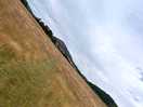 Scenic view