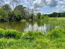 Lovely pond