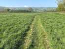 Dog friendly field for off lead exercise