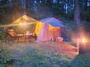 Woodland pitch