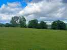 View from tent