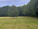 Tent pitches