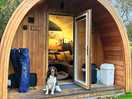 Murphy loving his pod stay!
