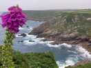 Northwest coastal path