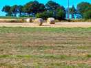 Grands espaces !
