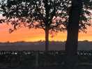 Beautiful sunsets over the estuary
