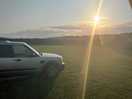 Morning sunshine