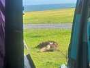 View when woke up in morning can’t beet that
