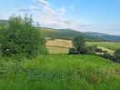 Hay baling in the distance