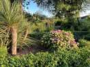 Japanese garden onsite