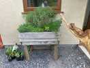 Free herbs