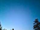 Can you see the bats?
