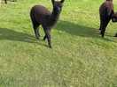 Our friendly neighbours