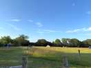 Campsite