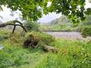 Down by the river bed