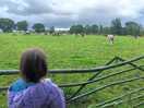 Working farm