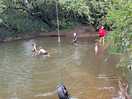 Playing in the river