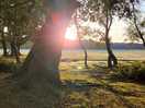 Beautiful sun rise