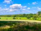 Great local walks