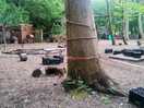 Site