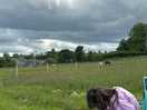 Relaxing watching animals